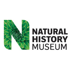 Natural History Museum  - Natural History Museum 